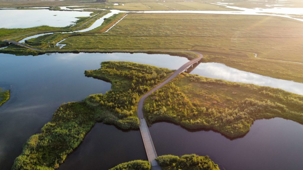 dagtocht-in-de-Biesbosch