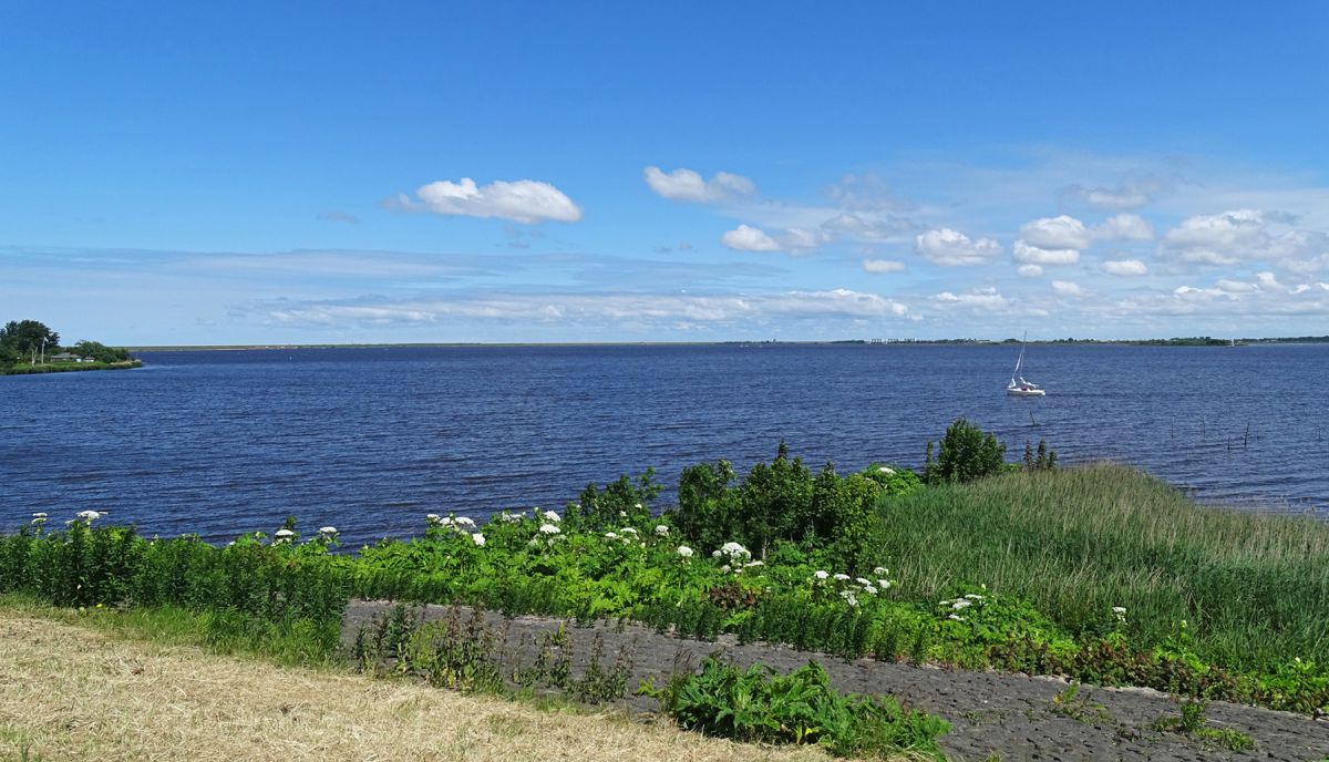 Lauwersmeer