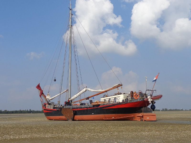 Last minute zeiltochten met schipper