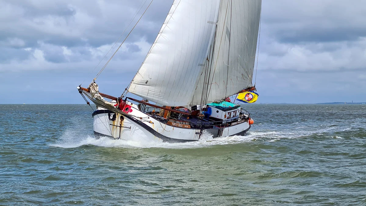 Zeilrederij Bosch-3