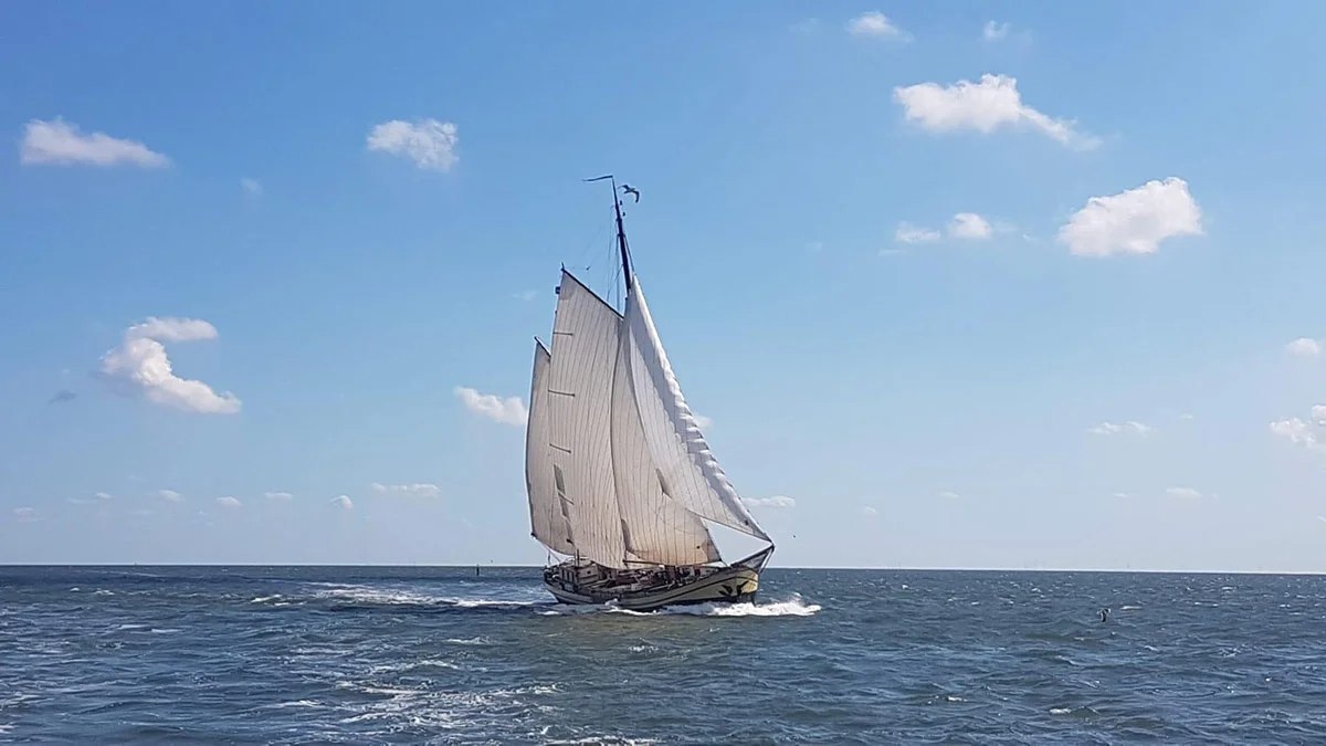 Zeilrederij Bosch-2